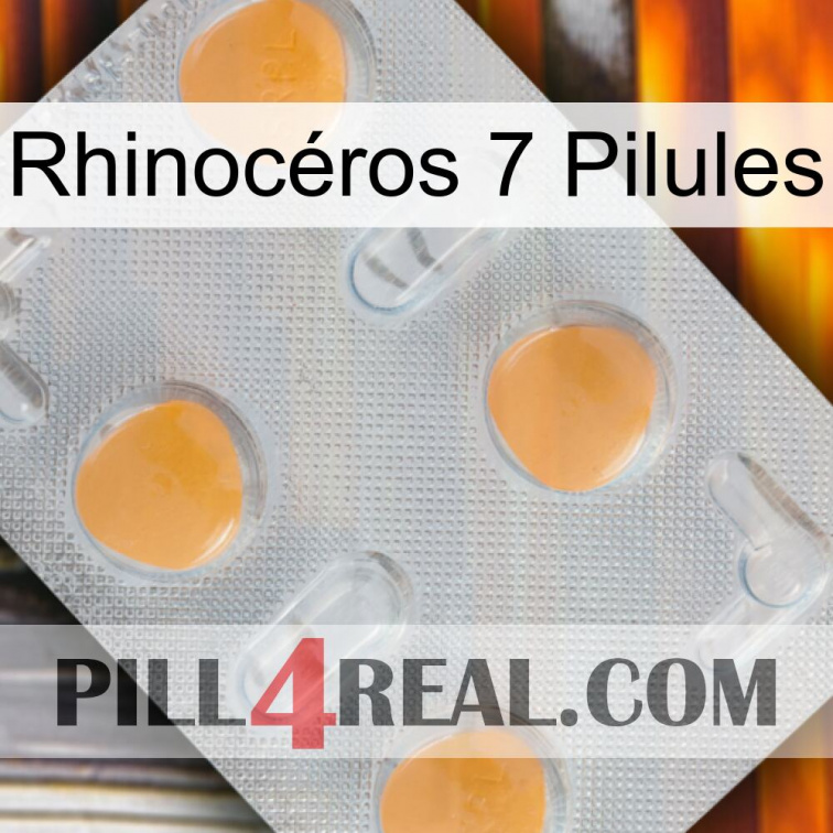 Rhinocéros 7 Pilules 24